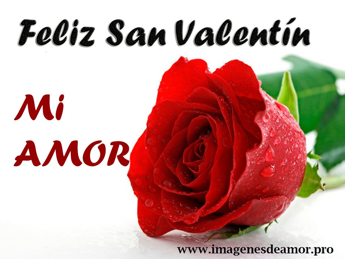 Imagenes Con Frases De Feliz Dia De San Valentin Amor Mio Imagenes